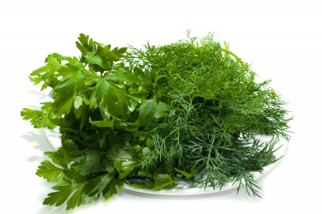 Parsley and fennel on a plate