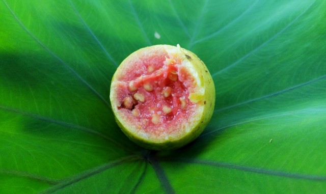 Гуава, гуава фрукт, полезные свойства гуавы, гуава купить, как едят гуаву