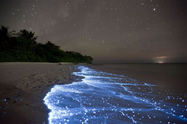 Sea-of-Stars-Vaadhoo-Island-Maldives